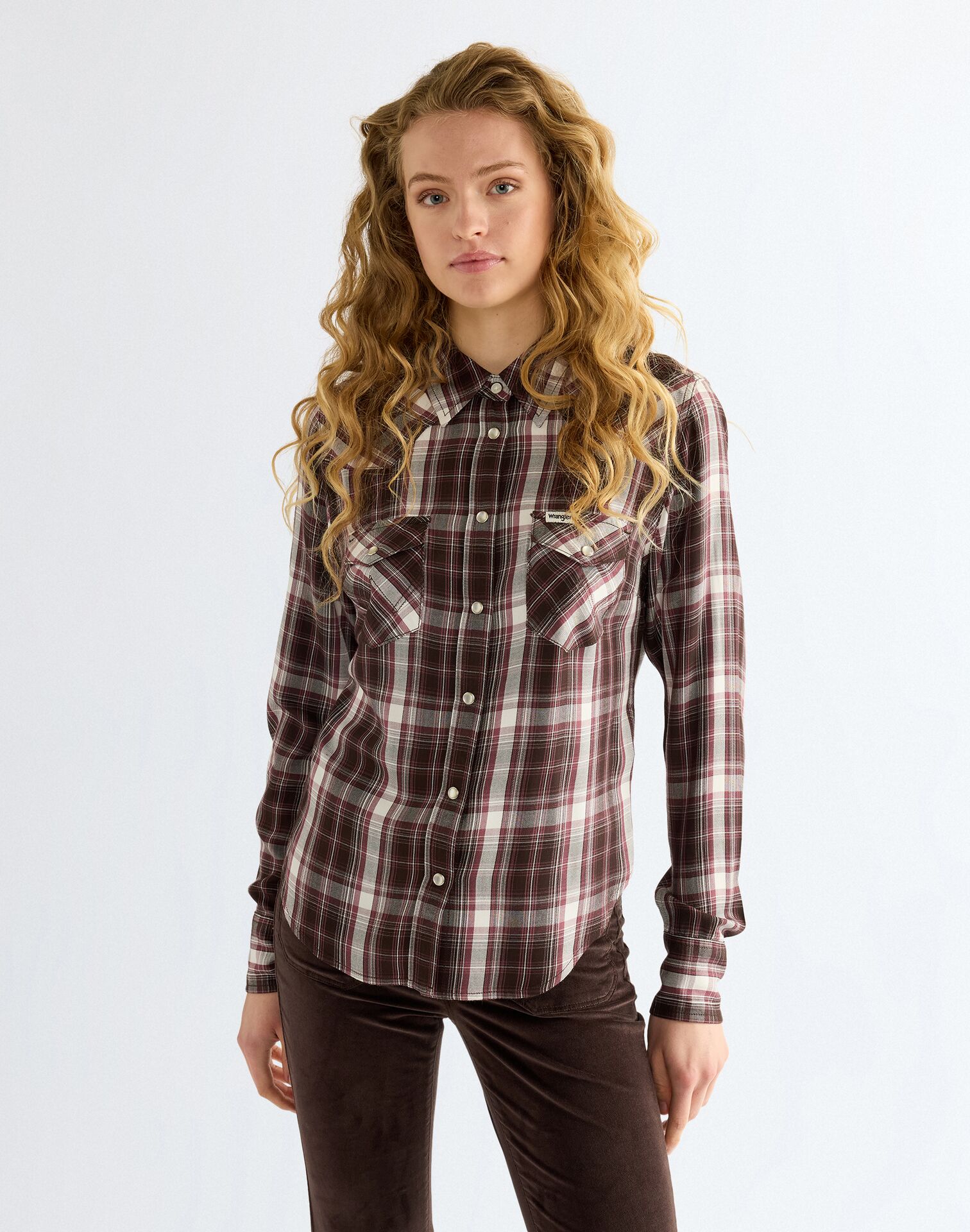 WESTERN SHIRT CHOCOLATE TORTE